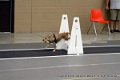 IMG_3066