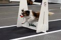 IMG_3082