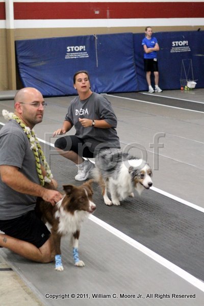 IMG_3254.JPG