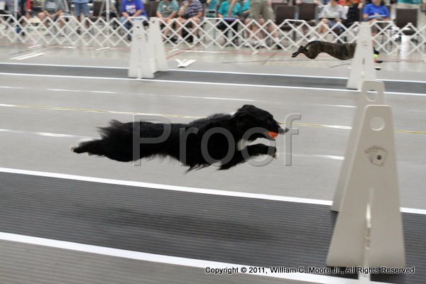 IMG_3275.JPG