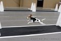 IMG_3178