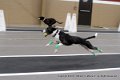 IMG_3194