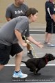 IMG_3260