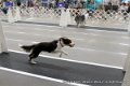 IMG_3278