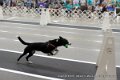 IMG_3286