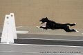 IMG_3299
