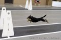 IMG_3354