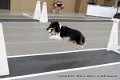 IMG_3356