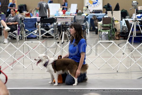 IMG_3568.JPG