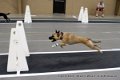IMG_3415