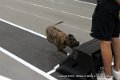 IMG_3427