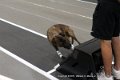IMG_3428