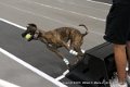 IMG_3429