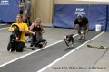 IMG_3451