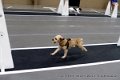 IMG_3465