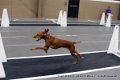IMG_3478