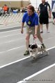 IMG_3546