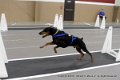 IMG_3578