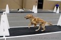 IMG_3586