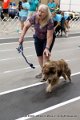 IMG_3619