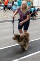 IMG_3620
