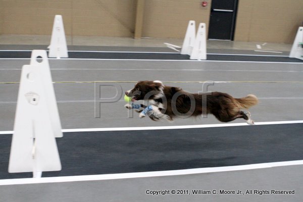 IMG_3719.JPG