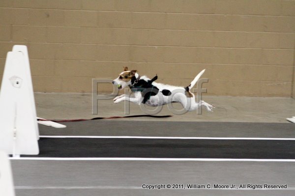 IMG_3763.JPG