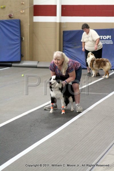 IMG_3833.JPG