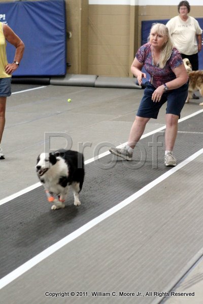 IMG_3835.JPG