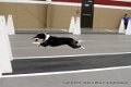 IMG_3651