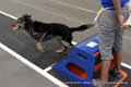 IMG_3678