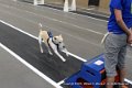 IMG_3681