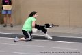 IMG_3736
