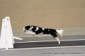 IMG_3742