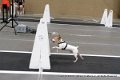 IMG_3789
