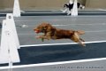 IMG_3808