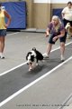 IMG_3834