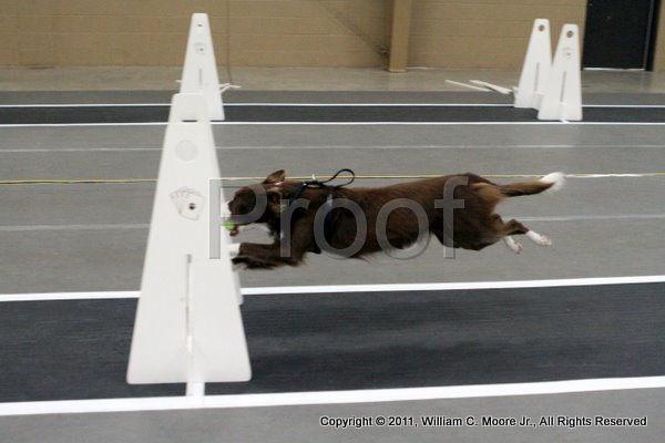 IMG_4080.JPG
