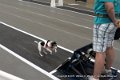 IMG_3874