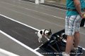 IMG_3876