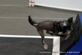 IMG_3977