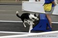 IMG_3985