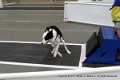 IMG_3987