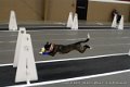 IMG_3999
