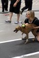 IMG_4071