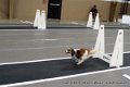 IMG_4082