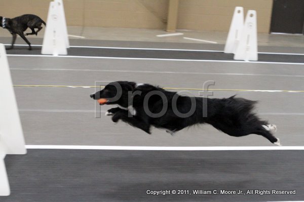IMG_4173.JPG