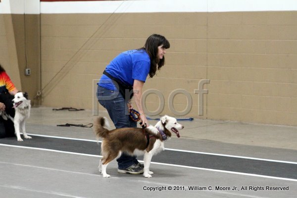 IMG_4253.JPG