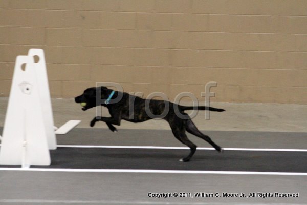IMG_4271.JPG