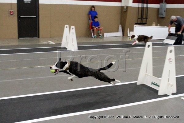 IMG_4340.JPG